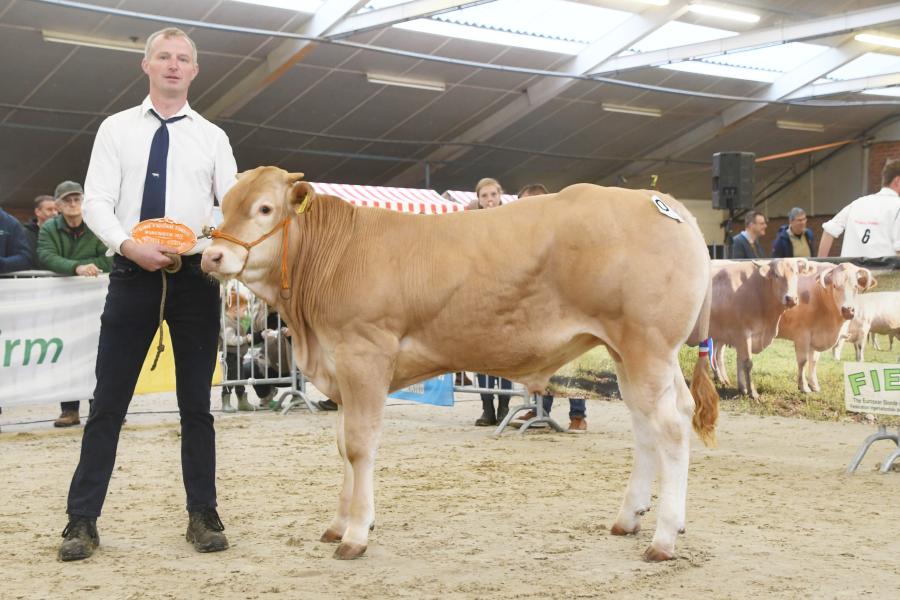 Boer Bert B.J.P.