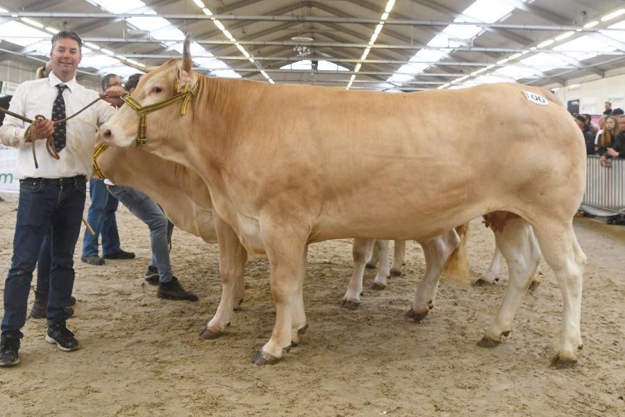 Ultime vd Woeste Hoeve