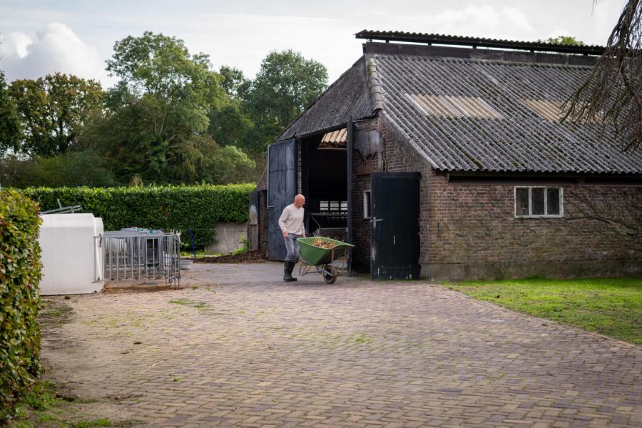In de oudere stal kunnen de dieren in- en uitlopen en kunnen ze liggen in de strohokken.