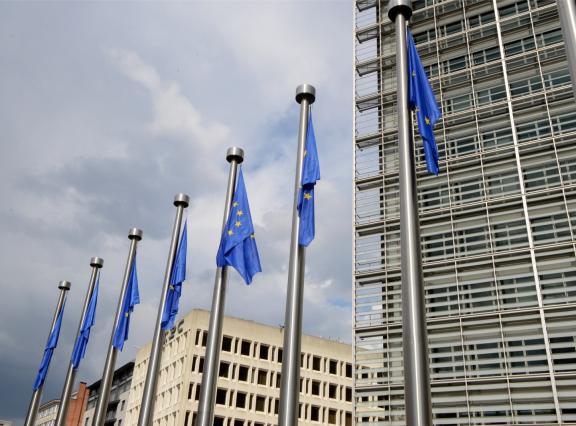 Het Europees Parlement moet zijn standpunt nog bepalen. Daarna volgen onderhandelingen met de Europese Commissie en de lidstaten