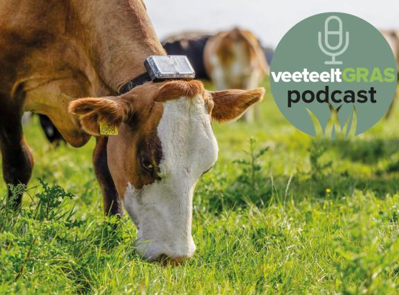 Op dit moment maken 75 bedrijven gebruik van het systeem van draadloos weiden van Collie
