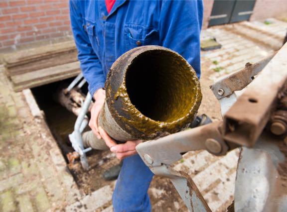 De export van rundveemest blijft een druppel op een gloeiende plaat. Van de totale stikstof- en fosfaatproductie van de Nederlandse rundveehouderij gaat minder dan een procent de grens over