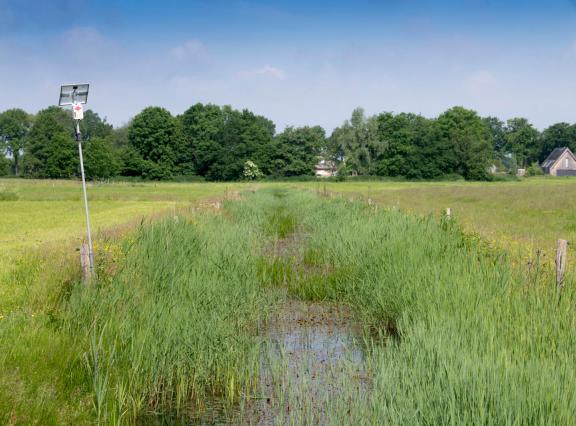 In het nieuwe plan van de Landbouw Alliantie staat onderbouwing van benodigde maatregelen om natuur te herstellen centraal