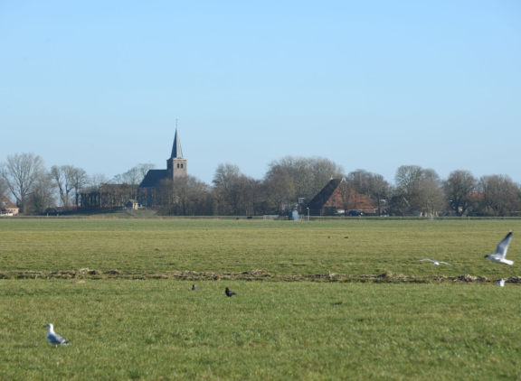 In Friesland is landbouwgrond met gemiddeld ruim 56.000 euro het goedkoopst