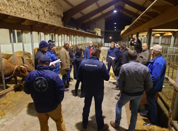 Voor de cursus veebeoordelen verbeterd roodbont was veel belangstelling