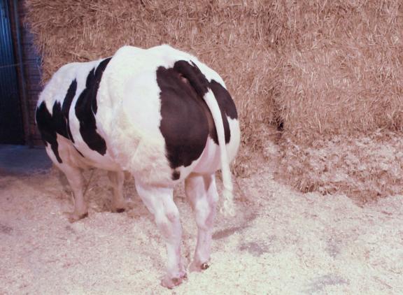 Equipier de Remichampagne