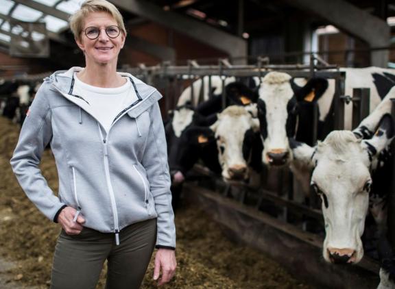 ondervoorzitter boerenbond