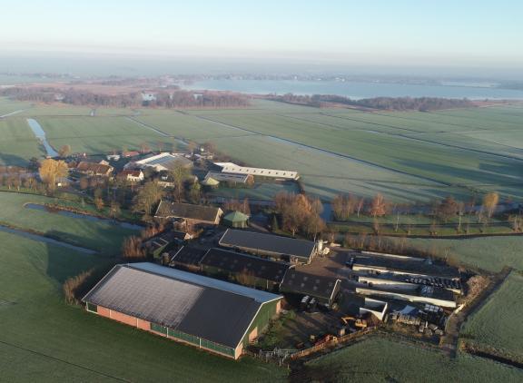 Volgens LTO heeft het kabinet gisteravond vergaande toezeggingen gedaan op cruciale thema’s voor het Landbouwakkoord