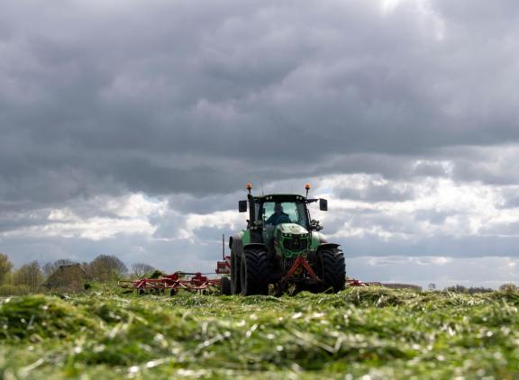 Er wordt deze week massaal gras ingekuild
