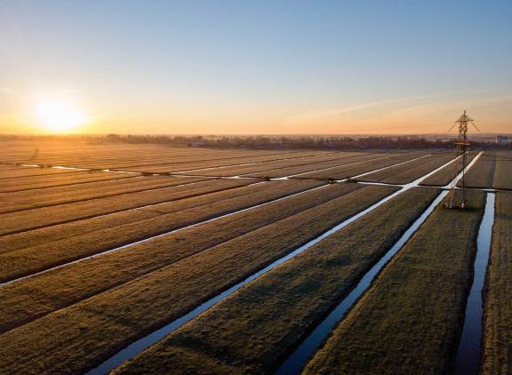 De behoefte vanuit de melkveehouderij om te extensiveren is volgens de taxateurs veruit de belangrijkste oorzaak van de stijging van de agrarische grondprijzen