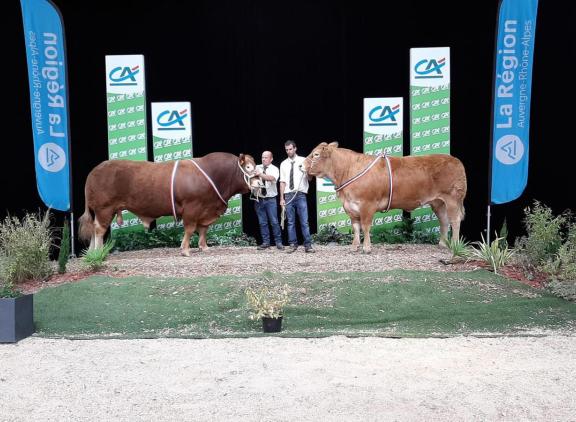 Dit jaar geen veeprijskampen op de Sommet de l’élevage 