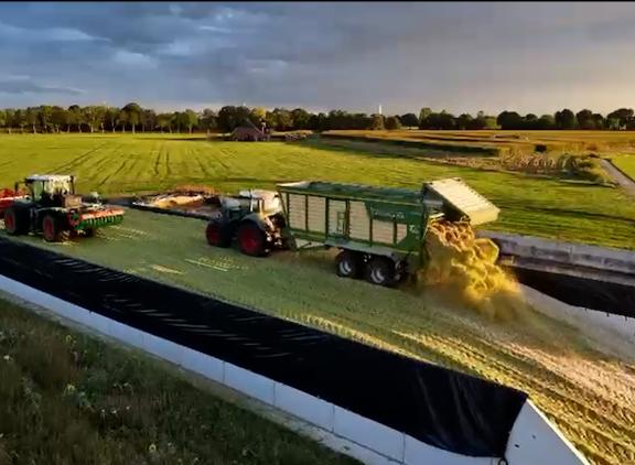 In de lasagnekuil bij de familie Gosselink is een laag mks en snijmais over het gras heengekuild