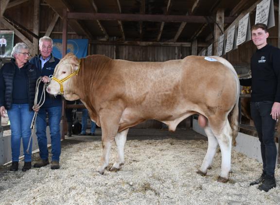 veilingtopper BAC Vert