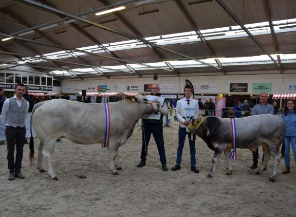 kampioenen NVM Piemontese 1