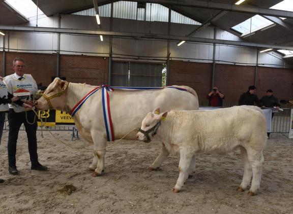 De 6-jarige Pucini (v. Invictus), dankte het algemeen kampioenschap mede aan haar goede moedereigenschappen