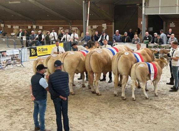 De kampioenen op een rij tijdens de NVM 2025