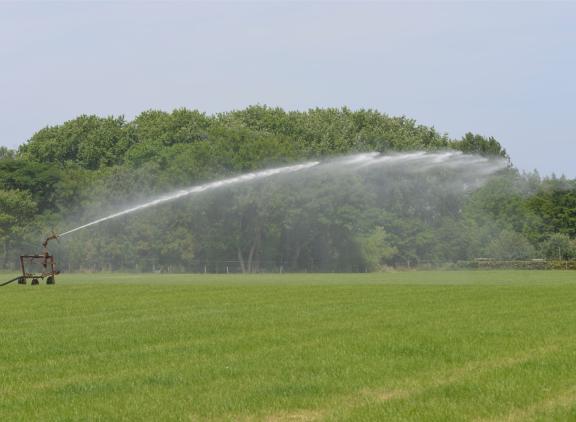 Zonder beregening en zonder extra maatregelen om water vast te houden, zal klimaatverandering in 2050 op De Marke leiden tot een vermindering van de grasopbrengst met 9 procent