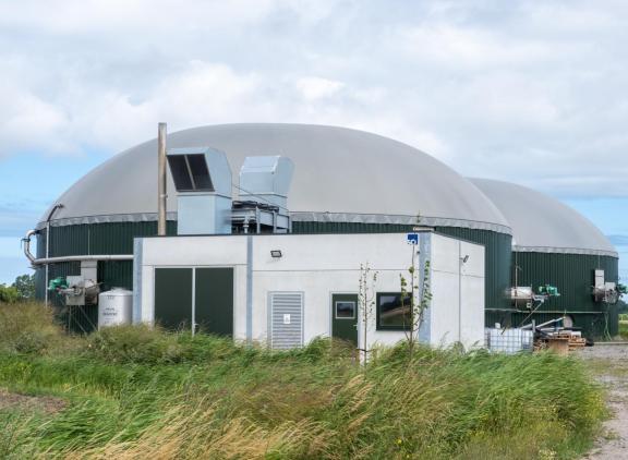 ‘Monomestvergisting is een grote kans voor het klimaat, de productie van groen gas en het sluiten van kringlopen’, stelt NCM. ‘Mits het digestaat op de juiste manier wordt behandeld en aangewend.’