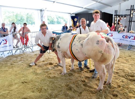 Kamp vaarzen Ulien
