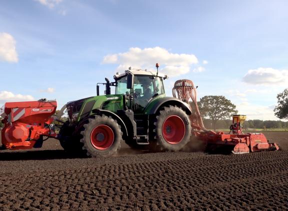 Door maisland in te zaaien met gras wordt aan de rustgewasverplichting voldaan